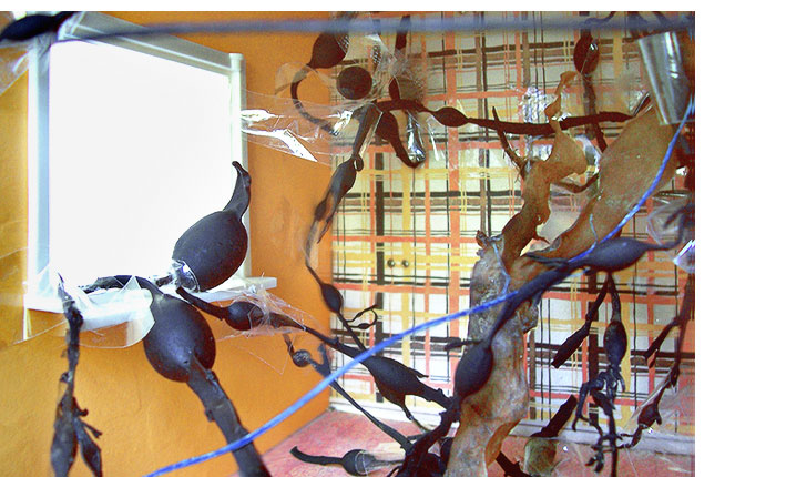 salon_rez1