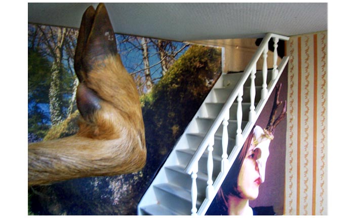 zoom_foyer2